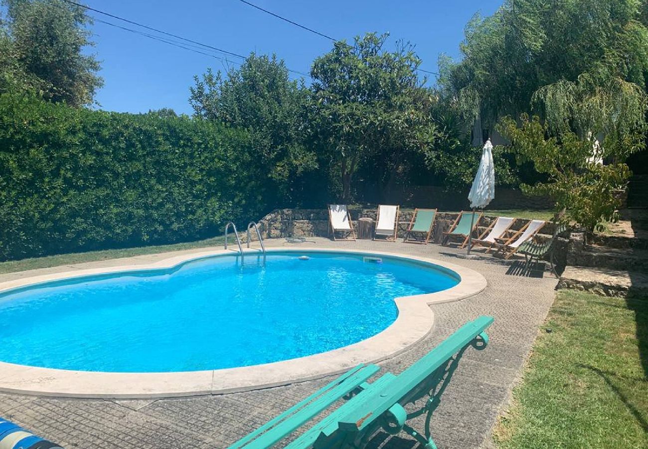 Piscina tranquila cercada por cadeiras de praia e vegetação verdejante, em um jardim iluminado pelo sol.