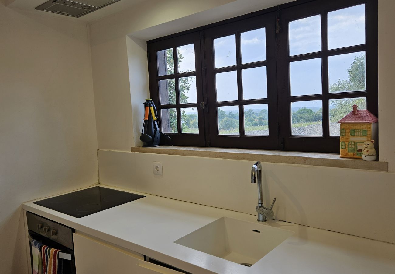Cozinha espaçosa e equipada, com vista para a área externa da vivenda na Arrábida