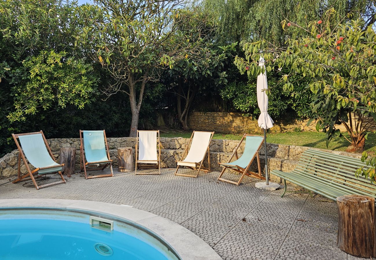 Piscina azul com cadeiras de descanso ao redor, cercada por árvores altas. 