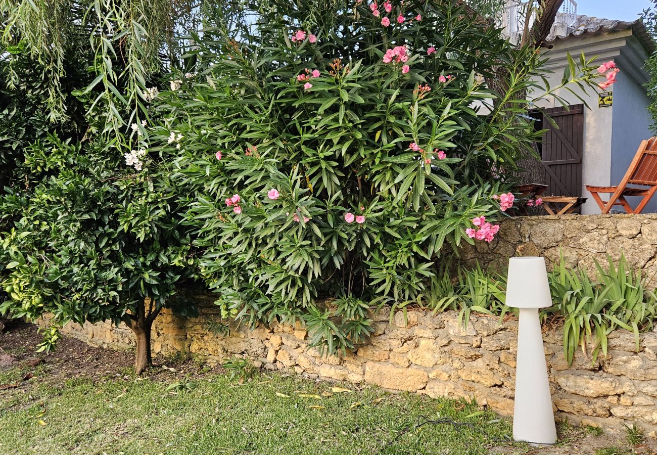 Jardim verdejante com candeeiro branco e arbustos floridos ao redor. 
