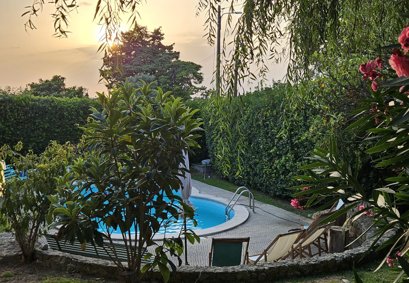 Piscina tranquila ao entardecer, rodeada por árvores e iluminação suave.