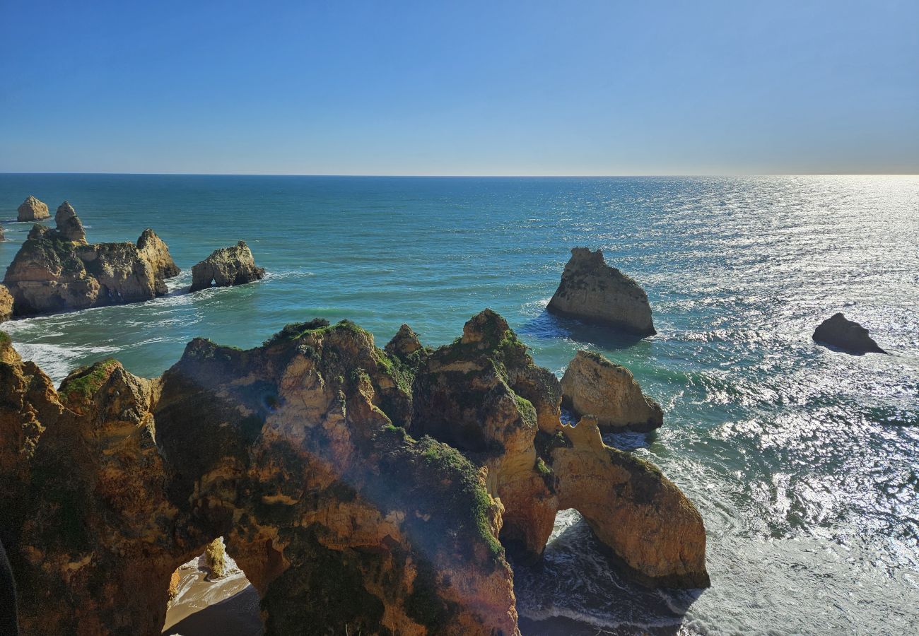 Vista deslumbrante de falésias douradas com vegetação verde ao longo da costa. O oceano azul se estende até o horizonte sob um céu claro e ensolarado.