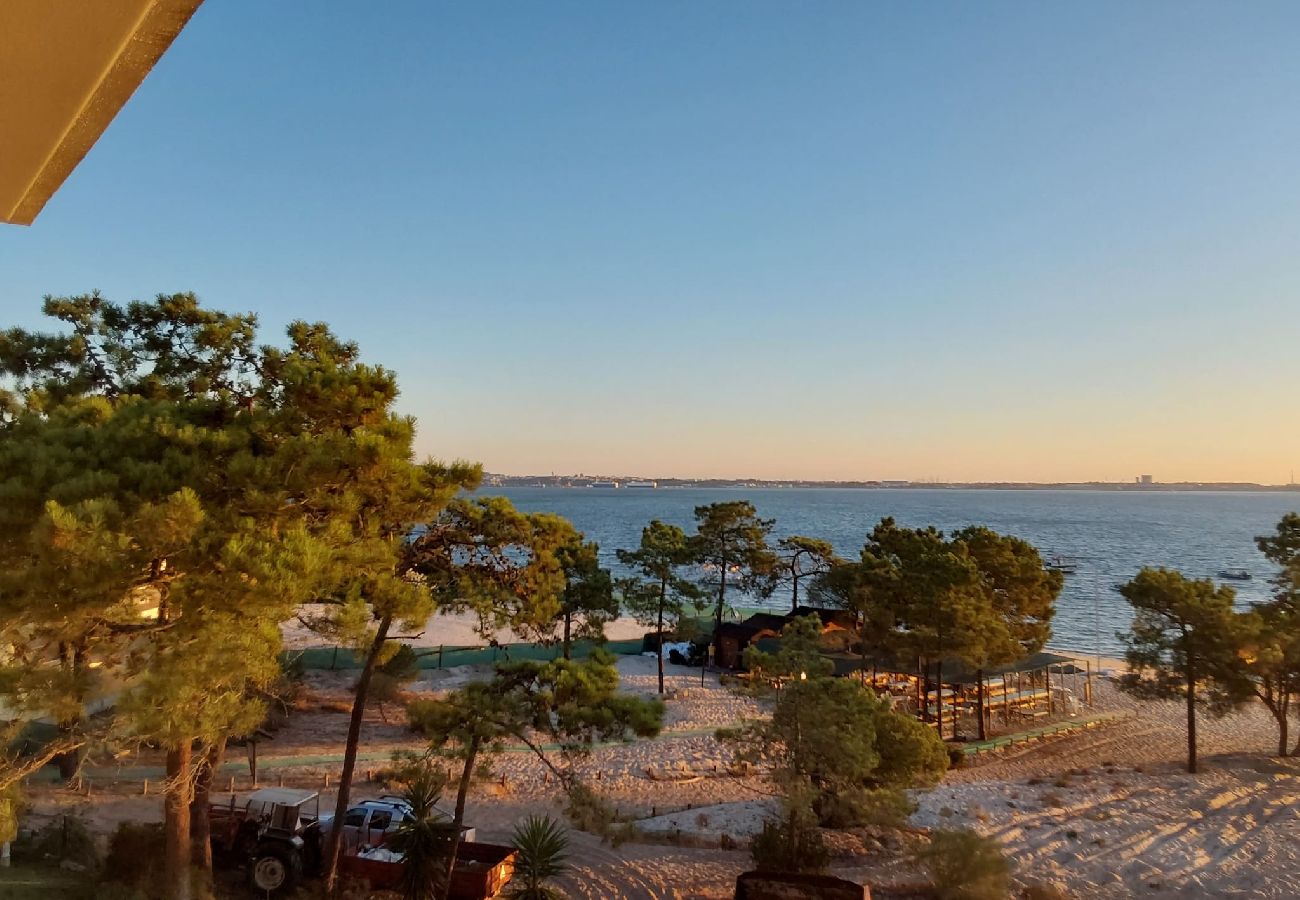 Vista do terraço para uma paisagem natural com pinheiros, areia e o mar ao fundo, iluminados pelo pôr do sol.