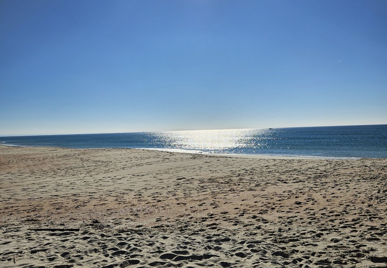 Praia com areia fofa e mar azul, com o sol brilhando alto no céu e refletindo nas águas calmas.