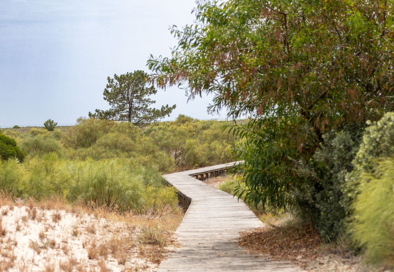 Um caminho de madeira atravessa uma área de dunas com vegetação rasteira, levando até a praia e o mar ao fundo, com montanhas e céu parcialmente nubla