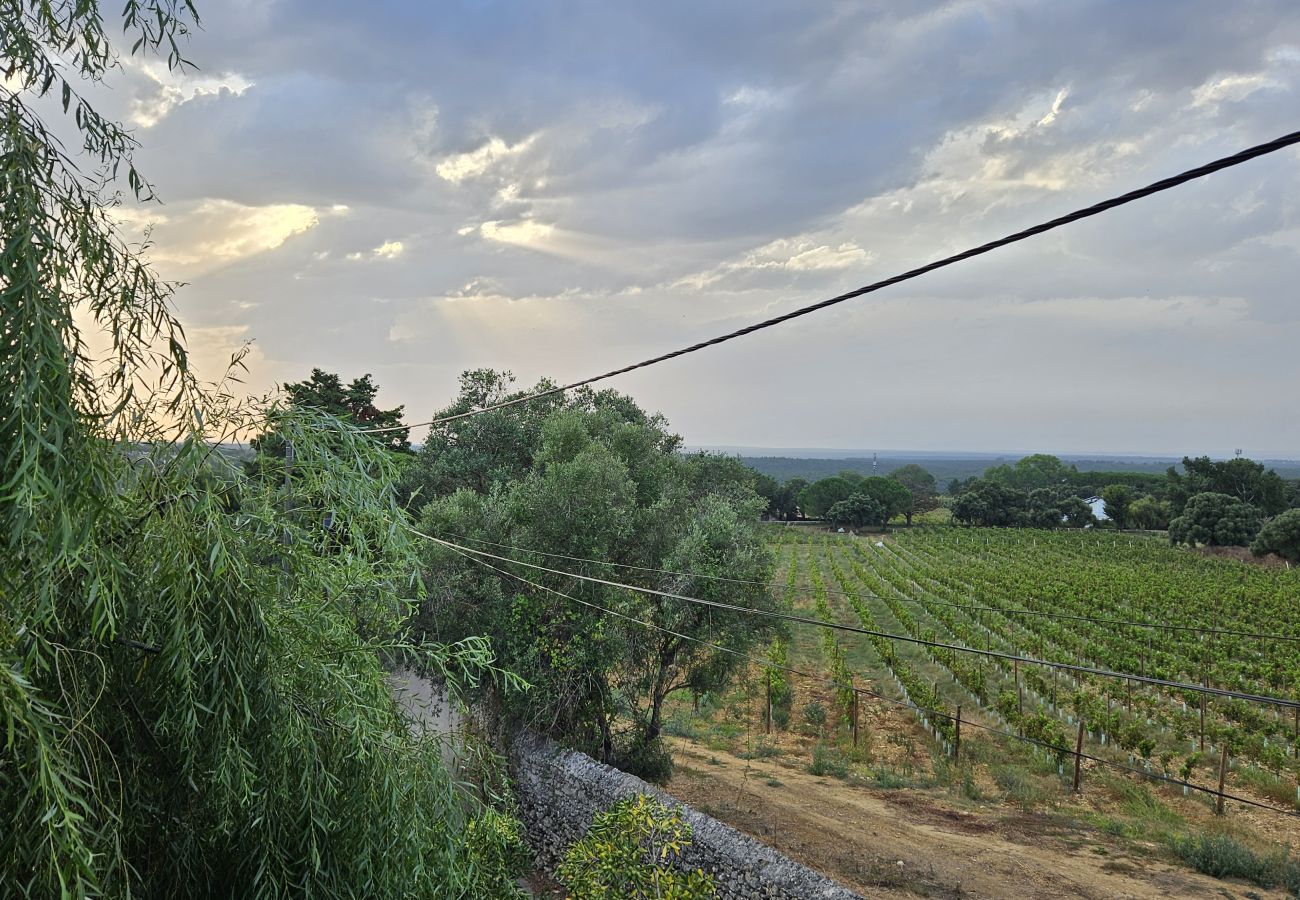 Panoramic view of vineyards and countryside in Arrábida.