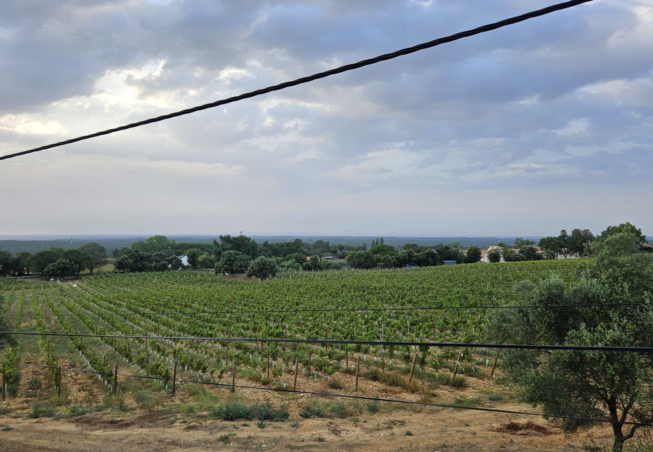 Green vineyards stretching to the horizon, with cloudy skies in the background. 