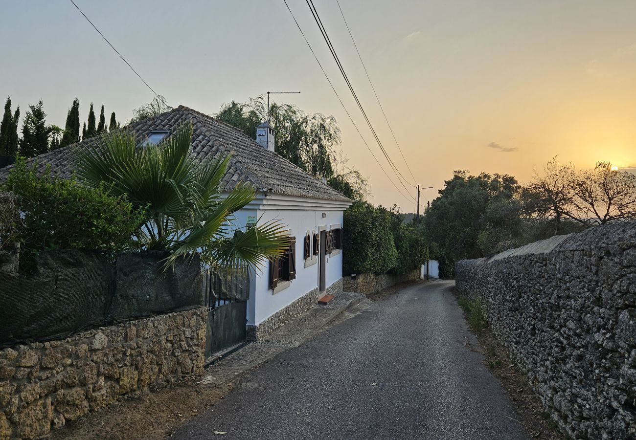 Facade of a traditional villa with private pool in Arrábida