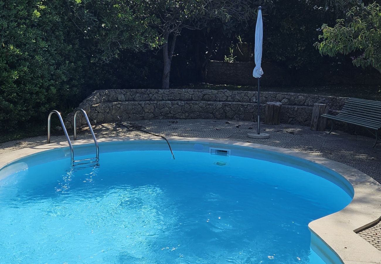 Villa in Azeitão - Arrábida Sea & Country side Villa
