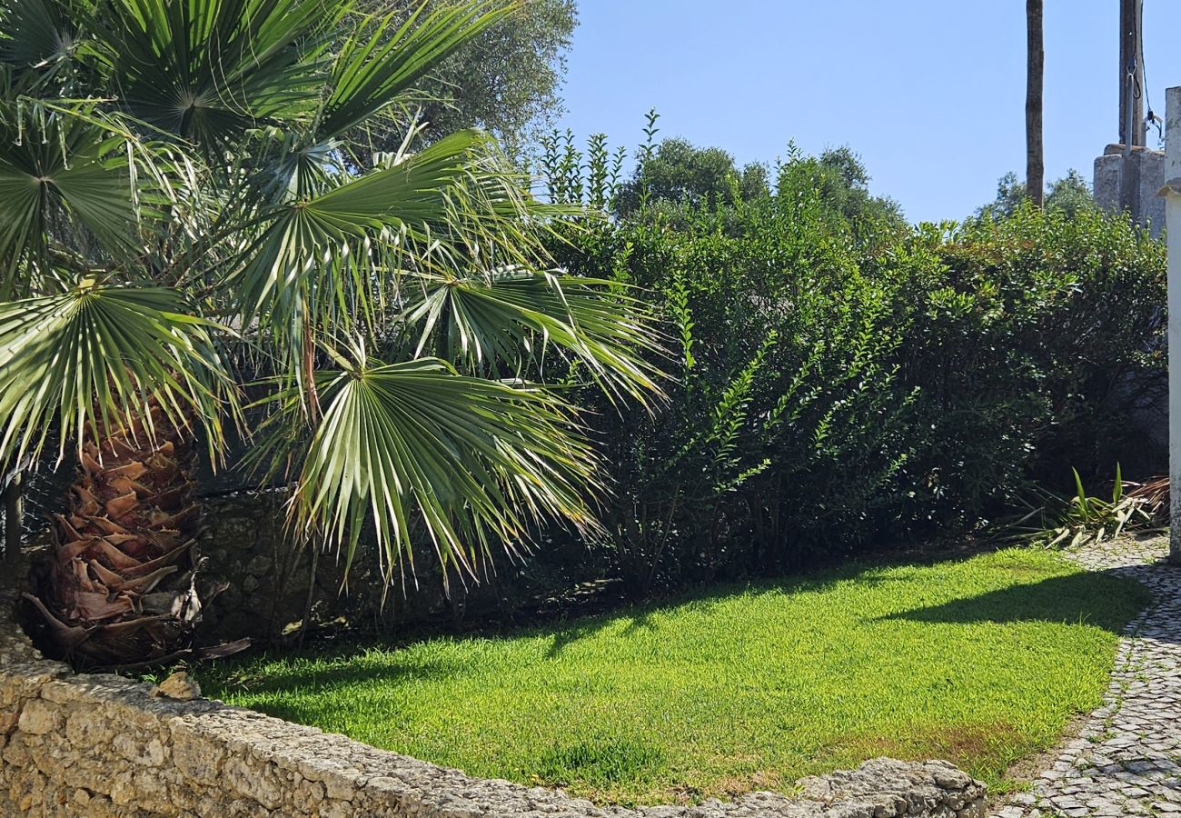 Villa in Azeitão - Arrábida Sea & Country side Villa