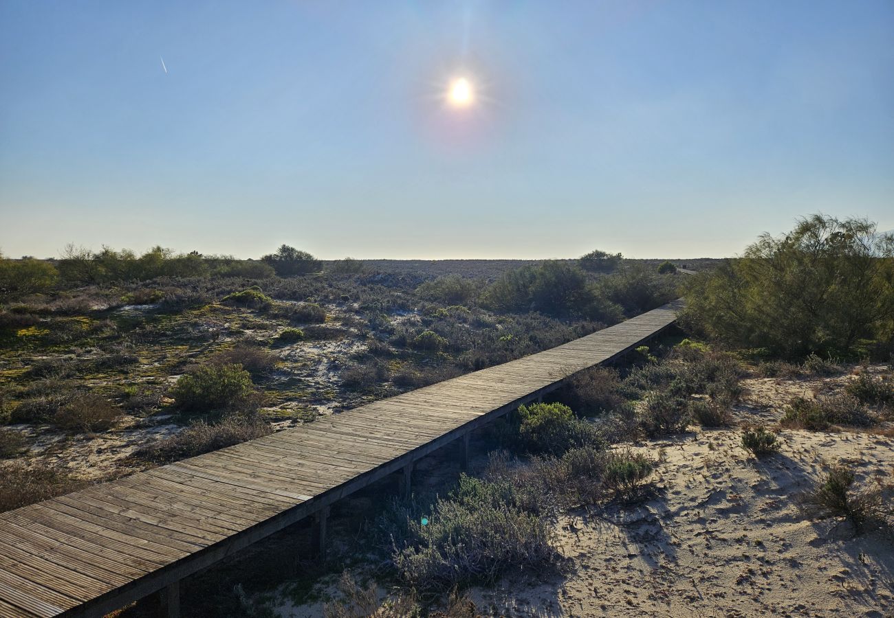 Wooden boardwalk between sand dunes, captured during sunset in the Troia region.