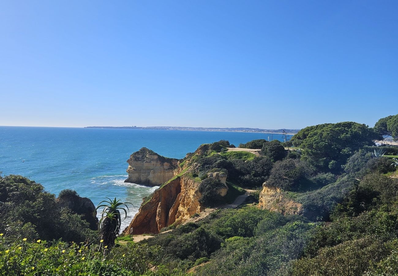 Sandy path on top of the cliffs, surrounded by lush green vegetation, with a panoramic view of the blue ocean and clear sky.