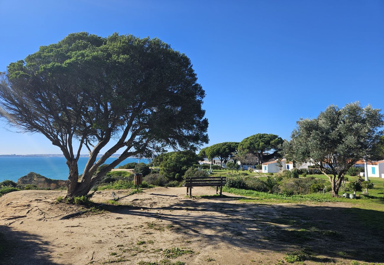 Large tree casting shade over sandy ground, surrounded by green vegetation and wooden benches, overlooking the blue ocean in the background.