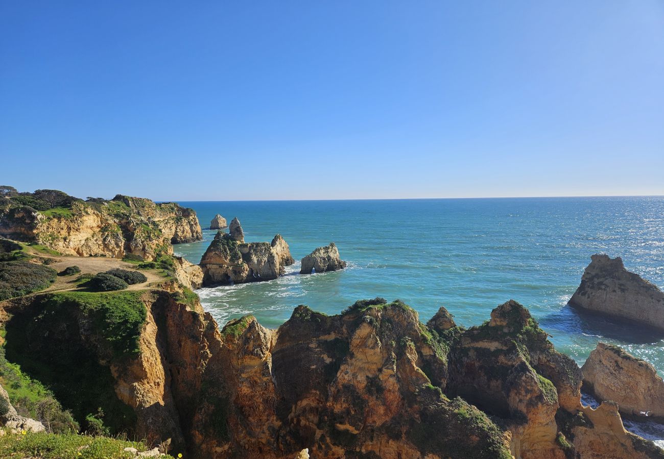 Panoramic view of golden cliffs with green vegetation along the coastline, bathed by the blue ocean under a clear sky.
