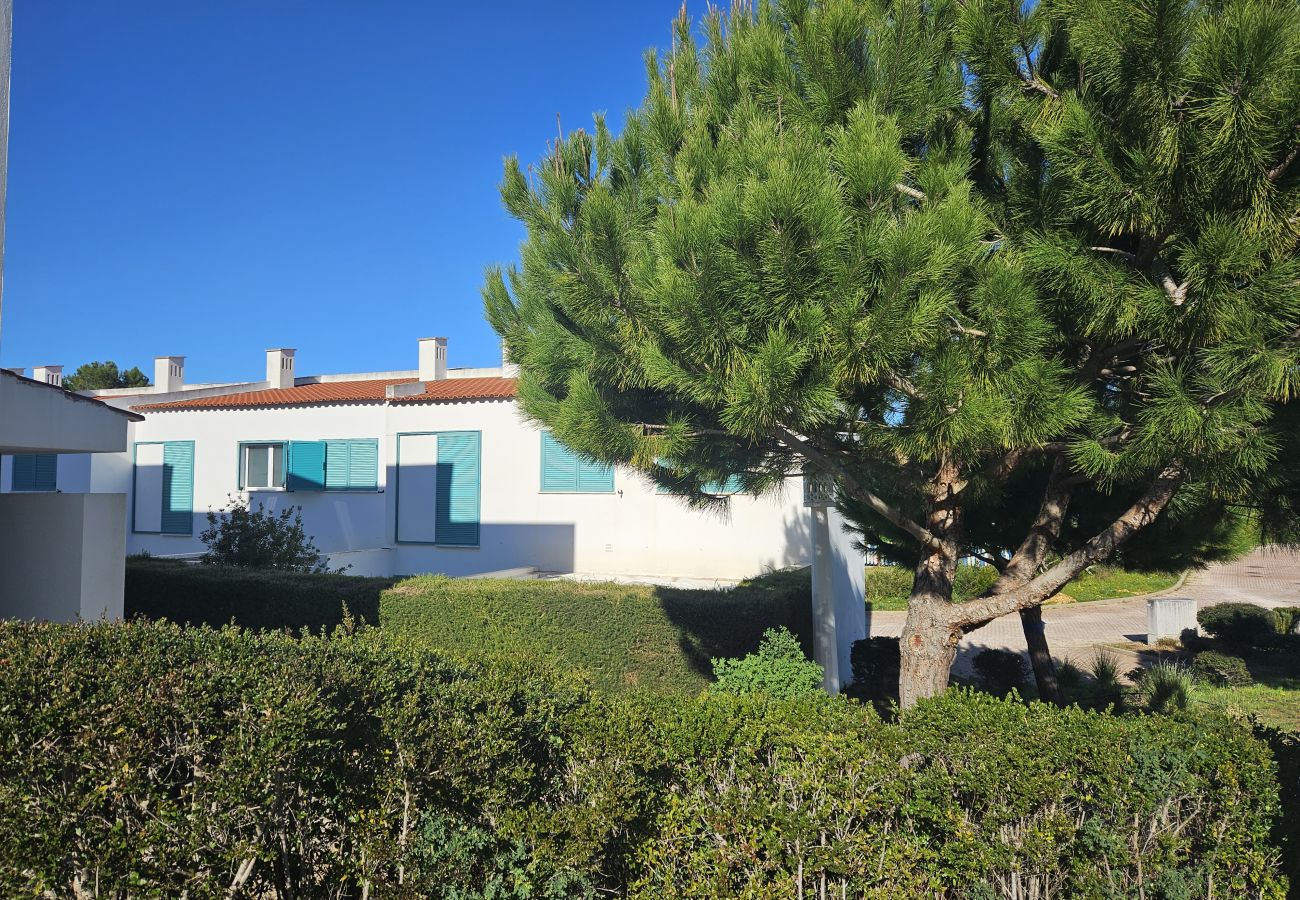 Well-maintained green garden with bushes and a large tree. In the background, white houses with windows and turquoise blue shutters under a clear blue