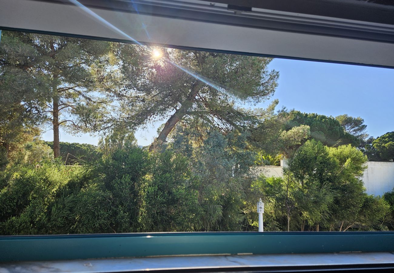 View from an open window showing green trees and a blue sky with the sun shining in the background.