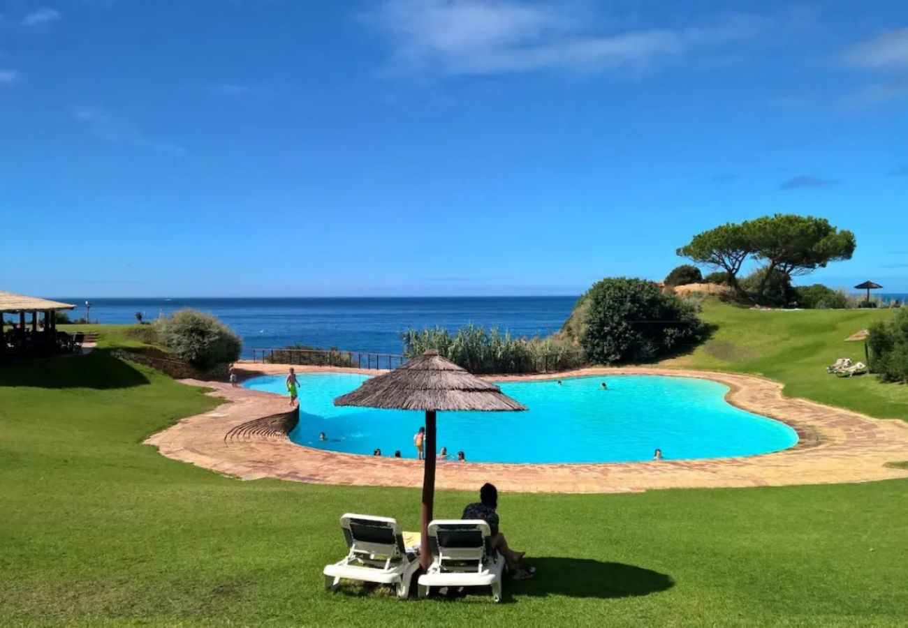 Outdoor blue swimming pool surrounded by sun loungers and greenery.