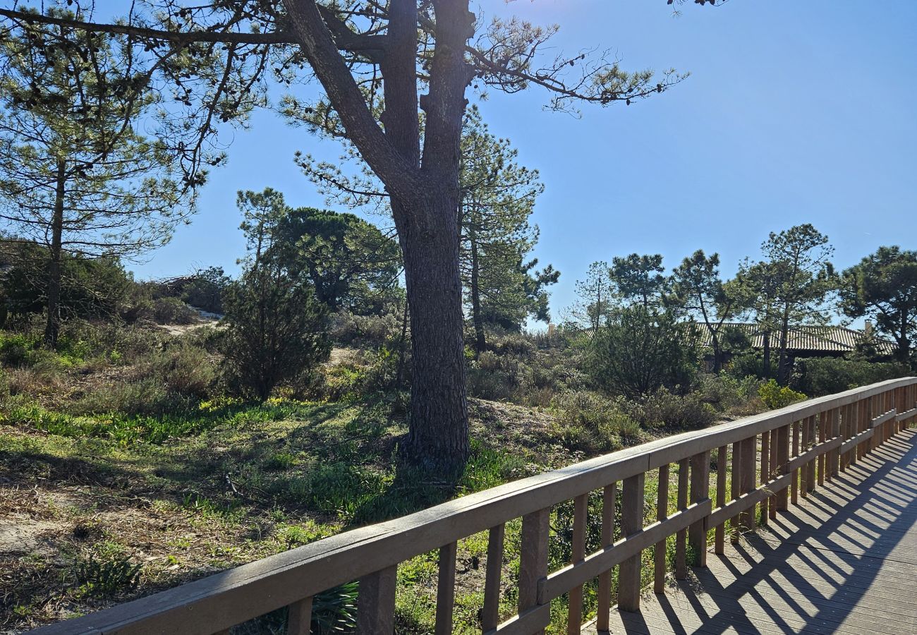 Pasarela de madera rodeada de árboles, con el sol brillando entre las ramas y proyectando sombras en el suelo.