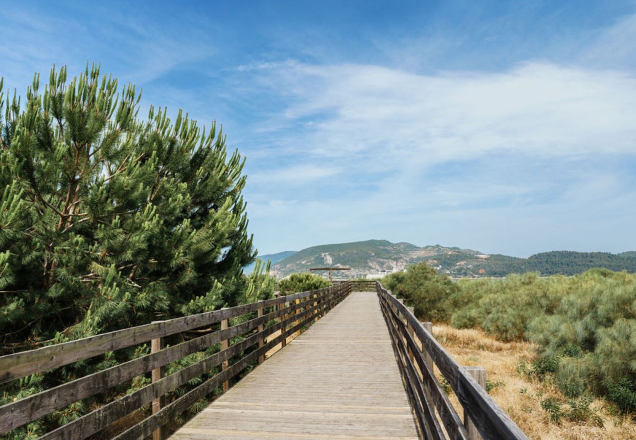 Wooden walkway surrounded by greenery, with mountains in the background and a blue sky.