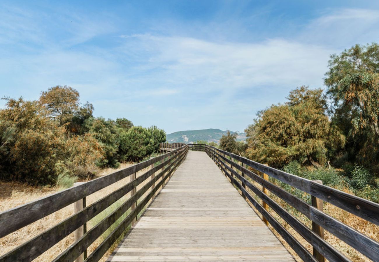 Wooden walkway surrounded by greenery, with mountains in the background and a blue sky.