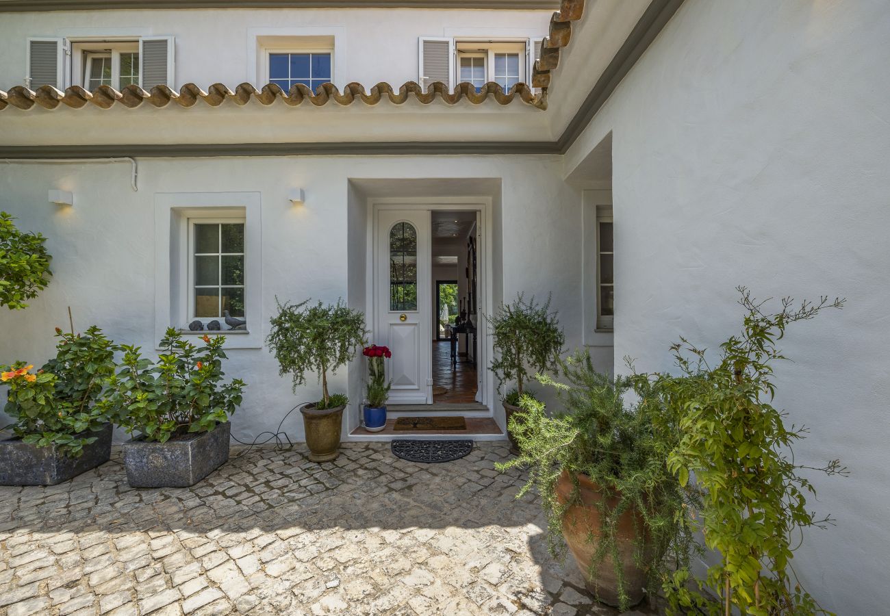 Main entrance door with classic details, surrounded by plants and a charming stone pathway.