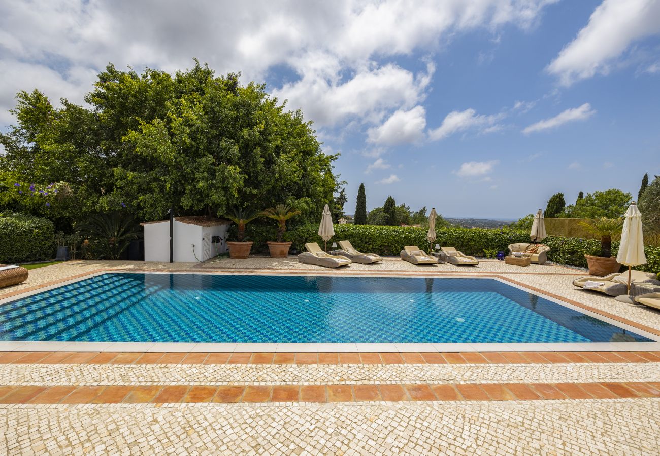 Luxurious pool surrounded by sun loungers and lush greenery, with a blue sky and panoramic view in the background