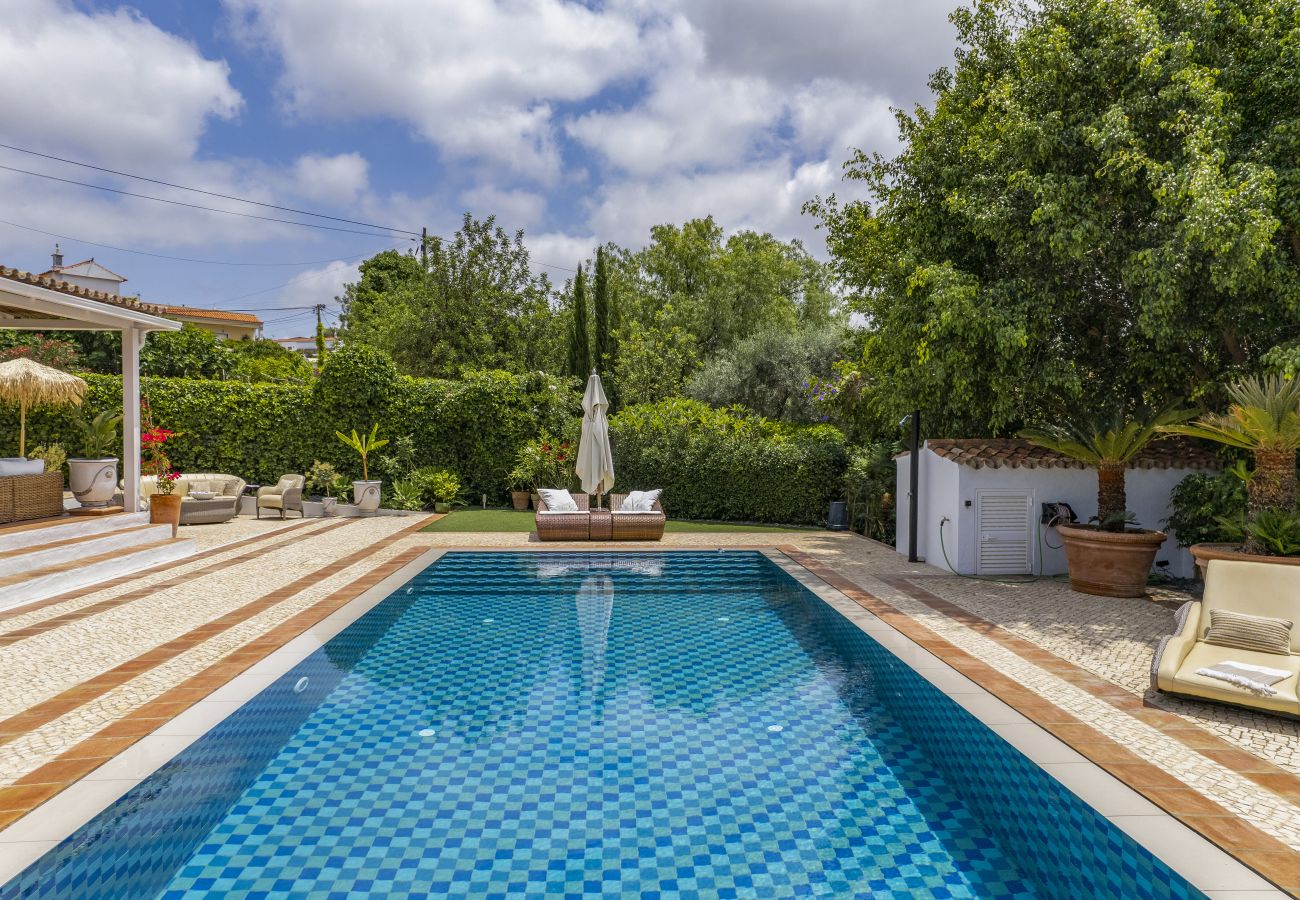 Luxurious pool with crystal-clear blue water, surrounded by comfortable sun loungers and a lush garden.