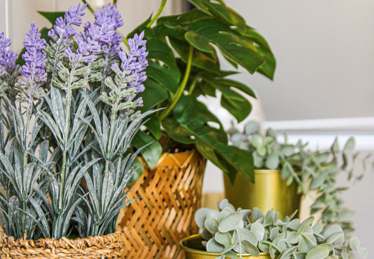 Arrangement of plants in golden pots and wicker baskets, adding a natural and elegant touch to the space.