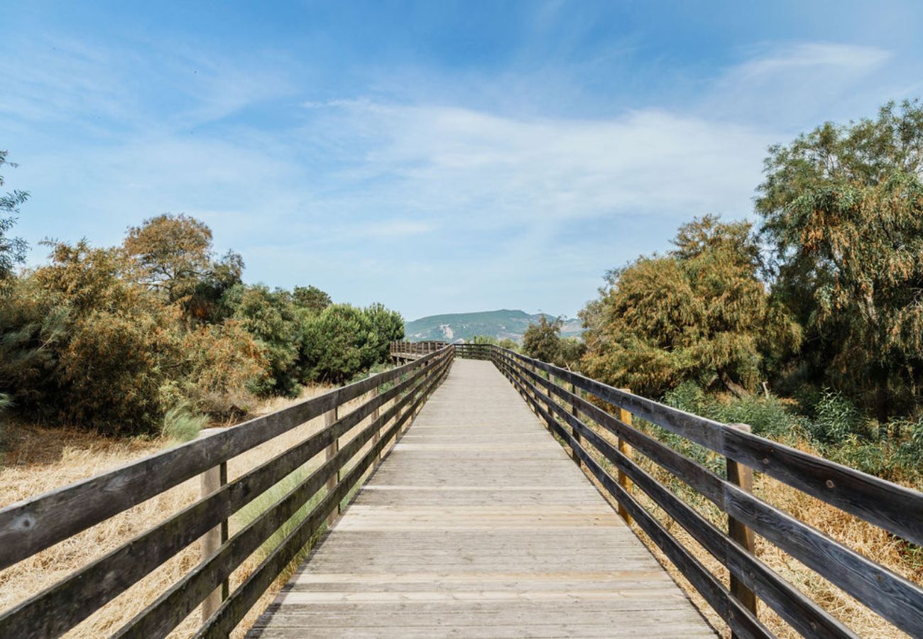 Elevated wooden pathway with railings, surrounded by lush vegetation, leading towards mountains in the distance under a blue sky.