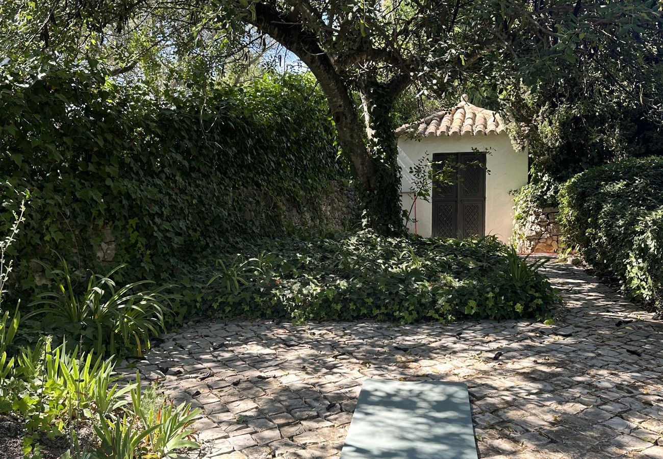Serene garden with a stone-paved area under a large tree, featuring a yoga mat and a small white house in the background.