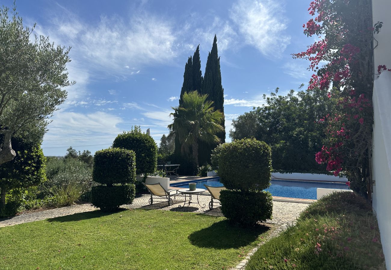 Garden with well-maintained lawn, trimmed trees and bushes, lounge chairs next to a blue swimming pool surrounded by lush greenery and cypress trees i