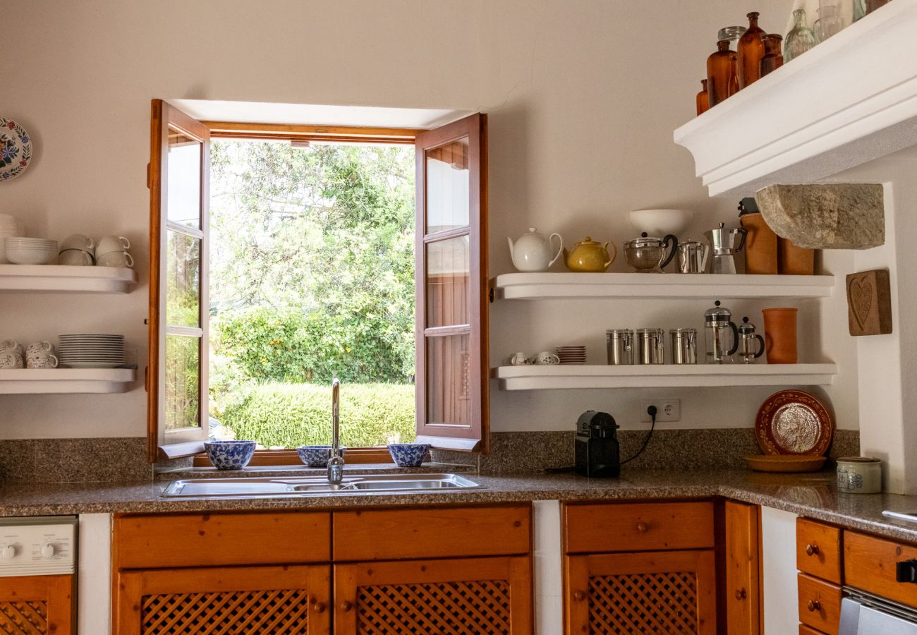 Kitchen with wooden cabinets, shelves with dishes, and an open window overlooking a green garden.