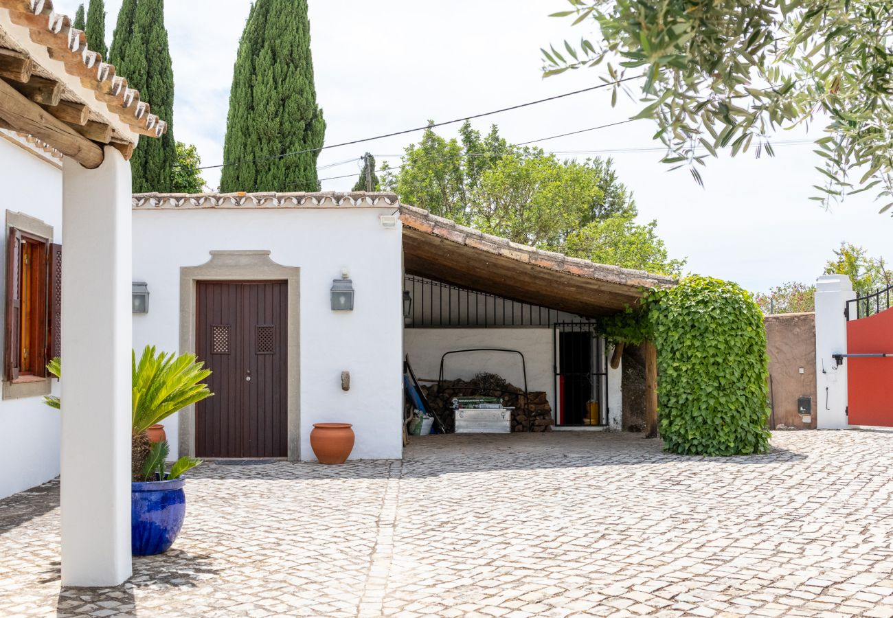 Stone-paved courtyard with traditional white facade, wooden door, decorative plants, and rustic garage in the background.