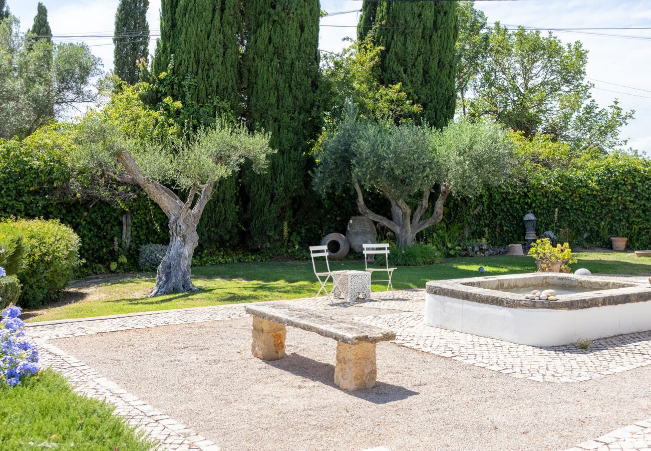 Spacious garden with a fountain, century-old olive trees, and a relaxing seating area in Almancil.
