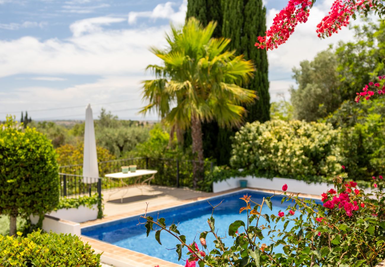 Lush garden with a blue swimming pool, palm trees, and an outdoor leisure area in Almancil.