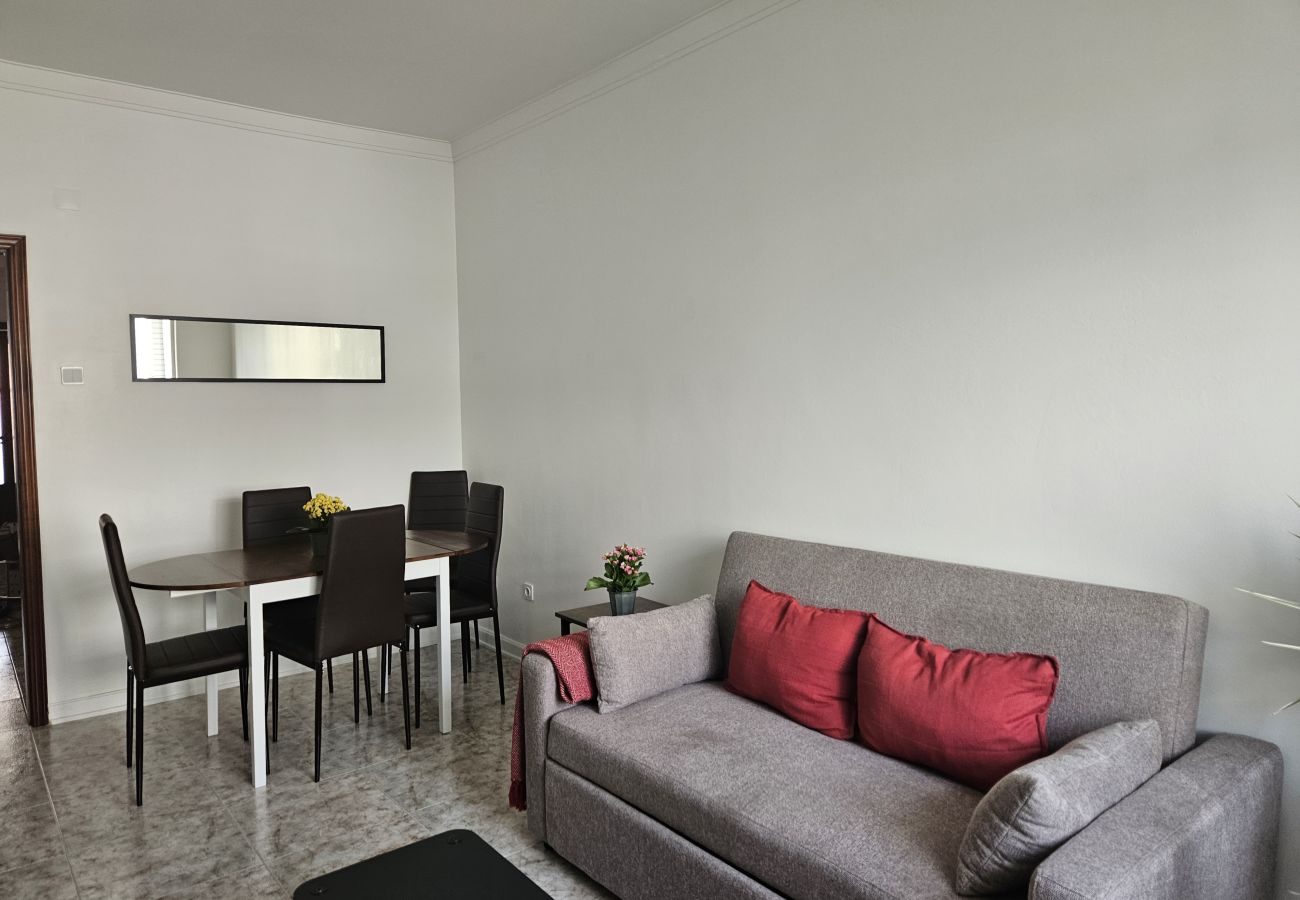 Bright living room featuring a cozy gray sofa, red cushions, wooden coffee table, black chair, and a decorative plant by the window.