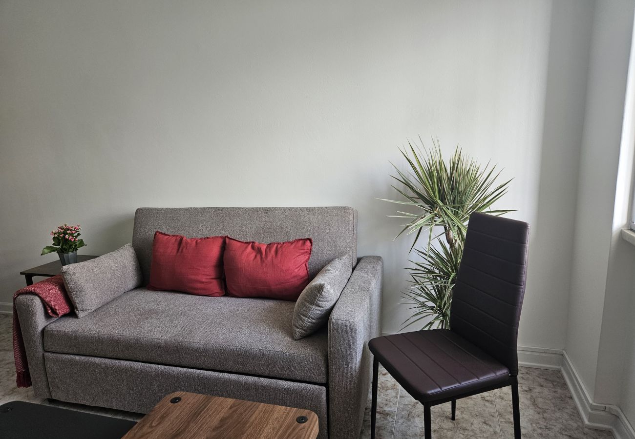Bright living room featuring a cozy gray sofa, red cushions, wooden coffee table, black chair, and a decorative plant by the window.