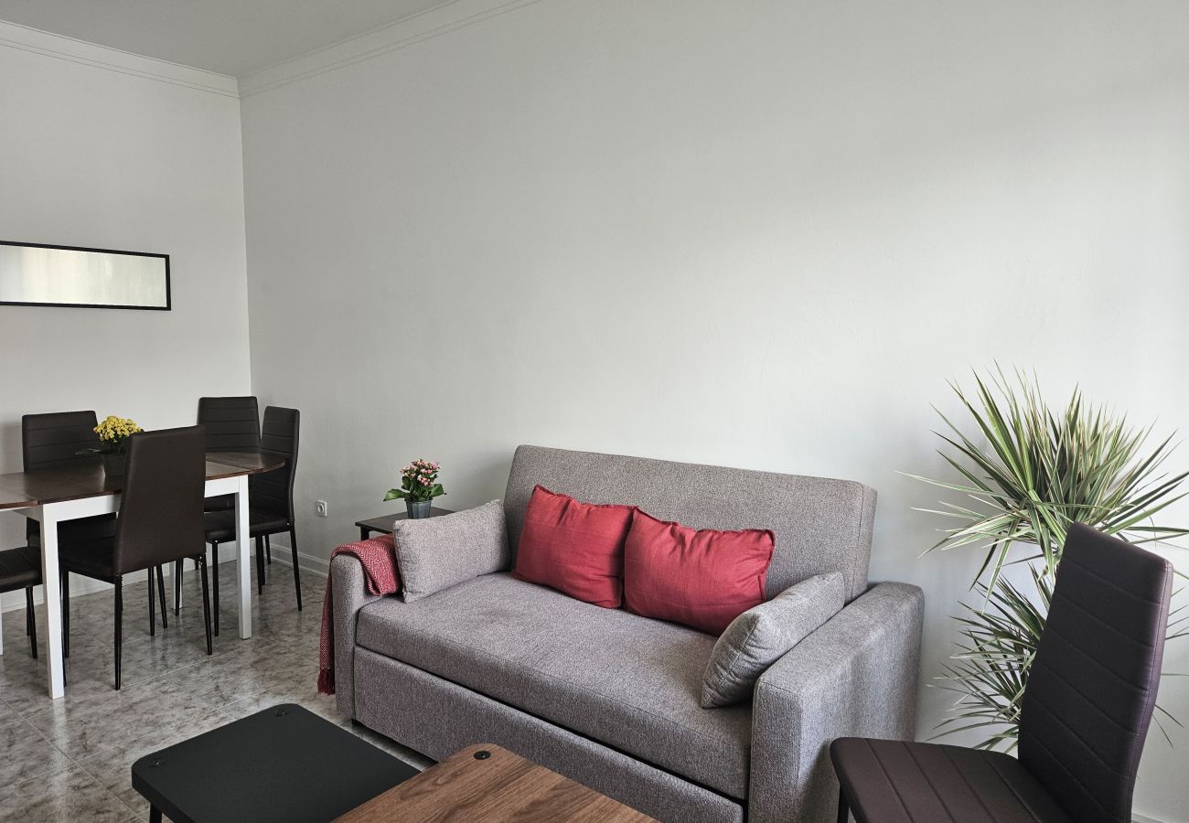 Living room featuring a gray sofa with red cushions, a wooden coffee table, dark chairs, and a decorative plant on the side.